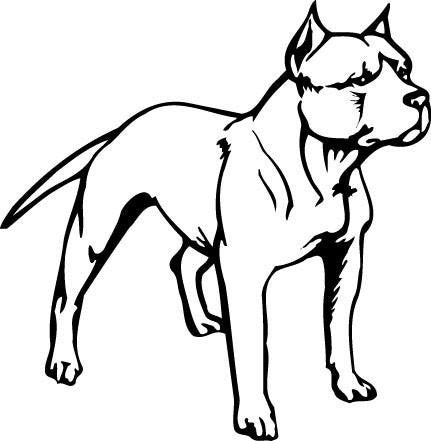 Pit Bull Decal 1