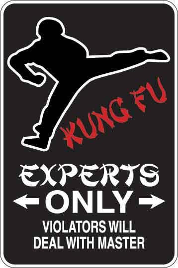 Kung Fu Experts Only Sign Decal