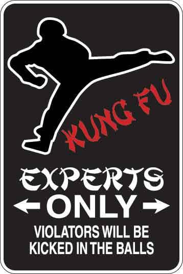 Karate Experts Only Sign Decal