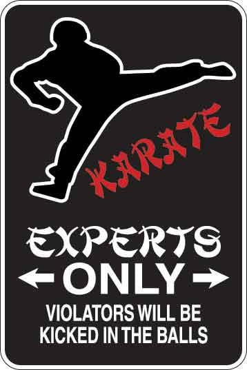 Karate Experts Only Sign Decal 1