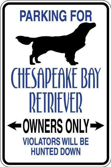 Chesapeake Bay Retriever Parking Only Sign Decal