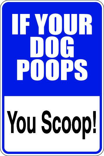 If Your Dog Poops Sublimated Aluminum Magnet