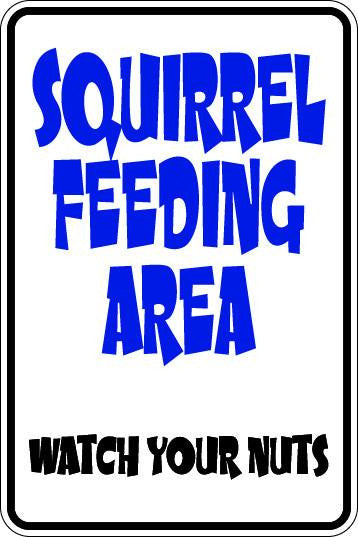 Squirrel Feeding Area Sublimated Aluminum Magnet