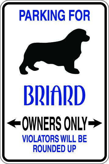 Briard Owners Only Sublimated Aluminum Magnet