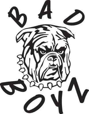 Bad Boyz Decal 1